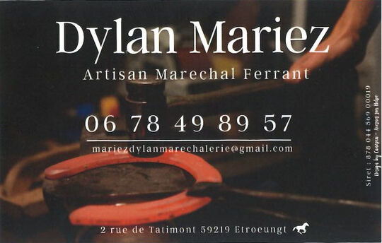 Dylan Mariez carte de visite